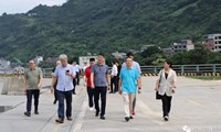 中远海运、上海泛亚莅临水富港考察