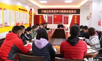 巧善公司开展党史学习教育总结