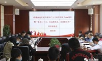 共话青春 共献良策