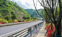 昭泸高速：绿美交通提升公路“颜值”