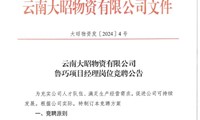 云南大昭物资有限公司鲁巧项目经理岗位竞聘公告